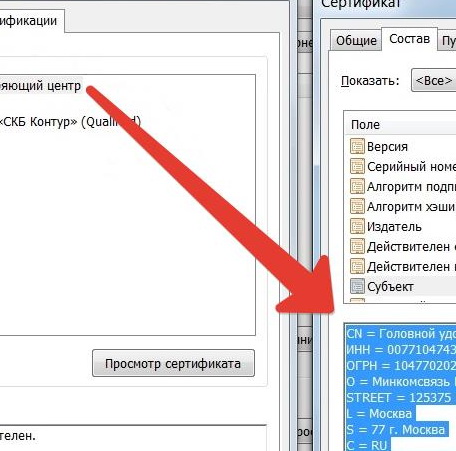 Строительство каркасного дома своими руками - нелегкая, но Самоделки для дегу Все о дегу. Российское сообщество